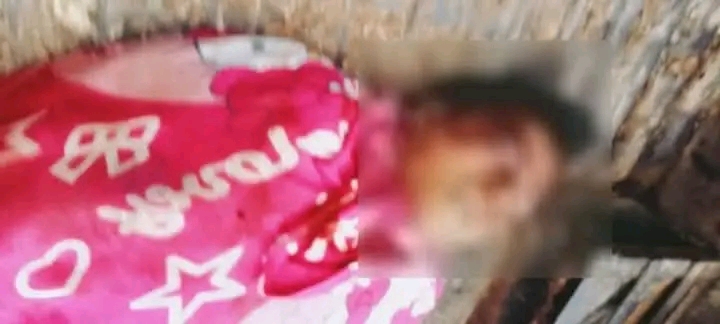 HMI Cabang Mandailing Natal Desak Penegakan Hukum Tanpa Kompromi atas Dugaan Pembunuhan di Lokasi Tambang Ilegal