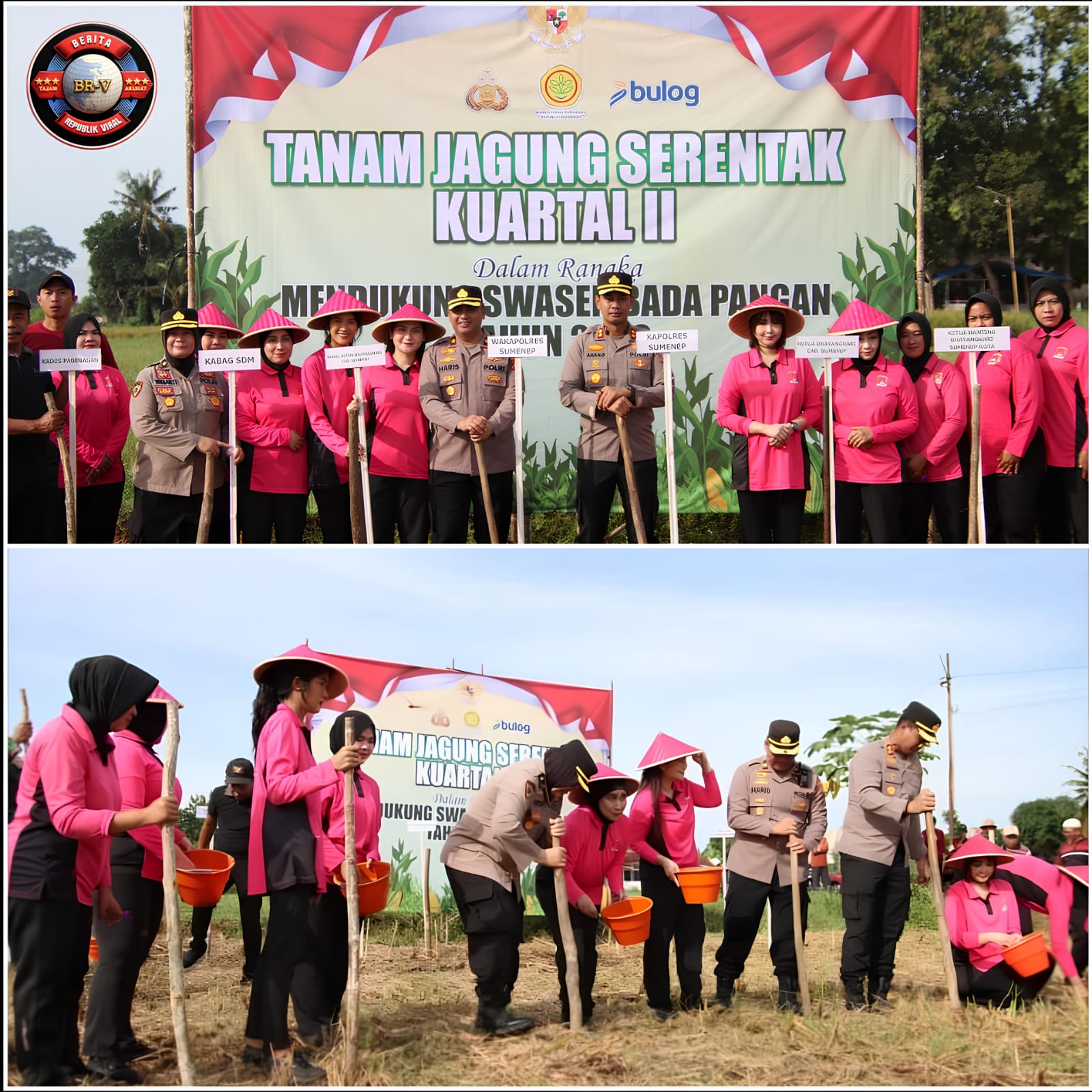Sinergi Polisi dan Warga, Penanaman Jagung Serentak Digelar di Paberasan