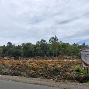 Diketahui  Lahan Tani Masuk Hutan Lindung,Maka  Usaha Koperasi Merah Putih ( KMP)  Di Dairi  Dihentikan