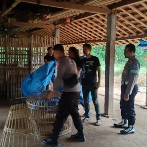 Tindak Tegas! Polres Ponorogo Bubarkan 3 Titik Judi Sabung Ayam dan Dadu