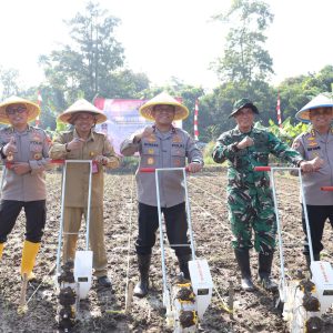 Dukung Ketahanan Pangan, Polda Banten Laksanakan Penanaman Jagung Kuartal II