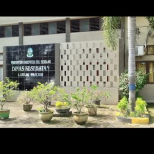 Ogah Taat Aturan Bupati, Kadis Kesehatan Deli Serdang Ogah Bayar TPP dan Jaspel Pegawai