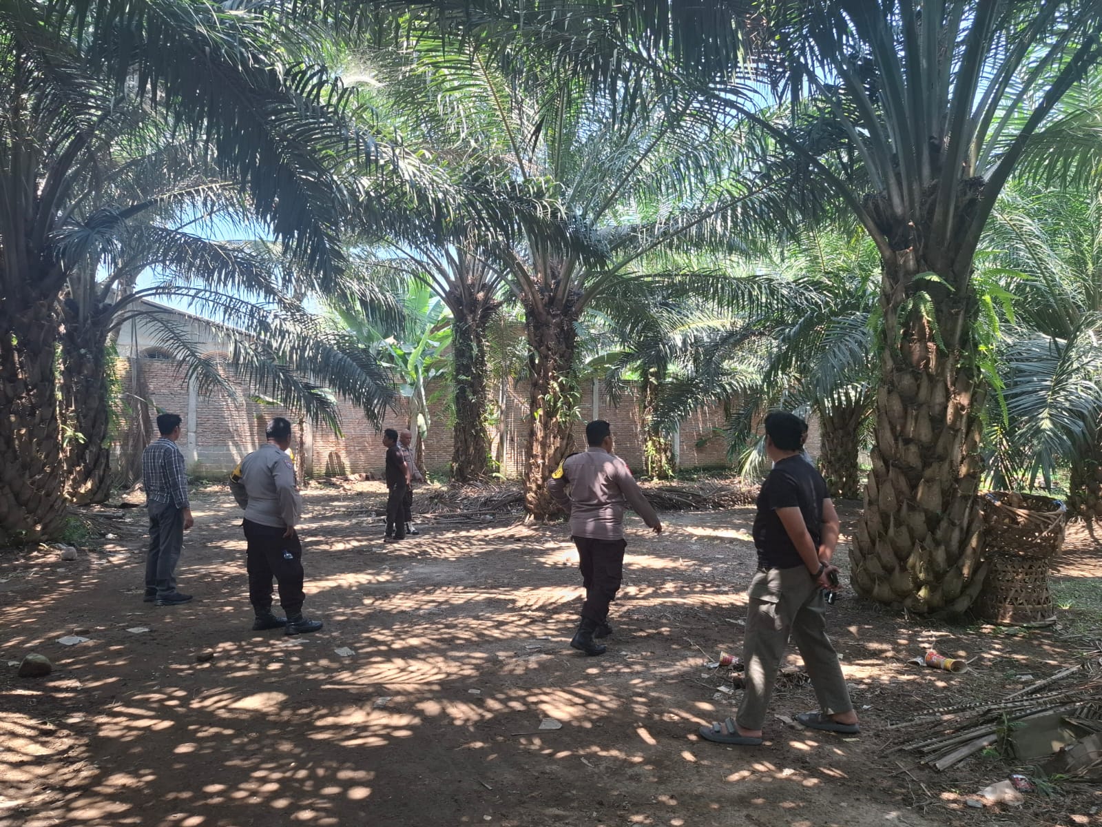 Polsek Pantai Labu Tindak Lanjuti informasi Media Terkait Judi Sabung Ayam