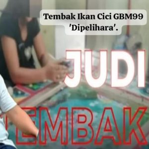 Judi Tembak Ikan Cici GBM99 ‘ Dipelihara ‘ Menjamur di Belawan, Warga Resah – Aparat Dinilai Tutup Mata