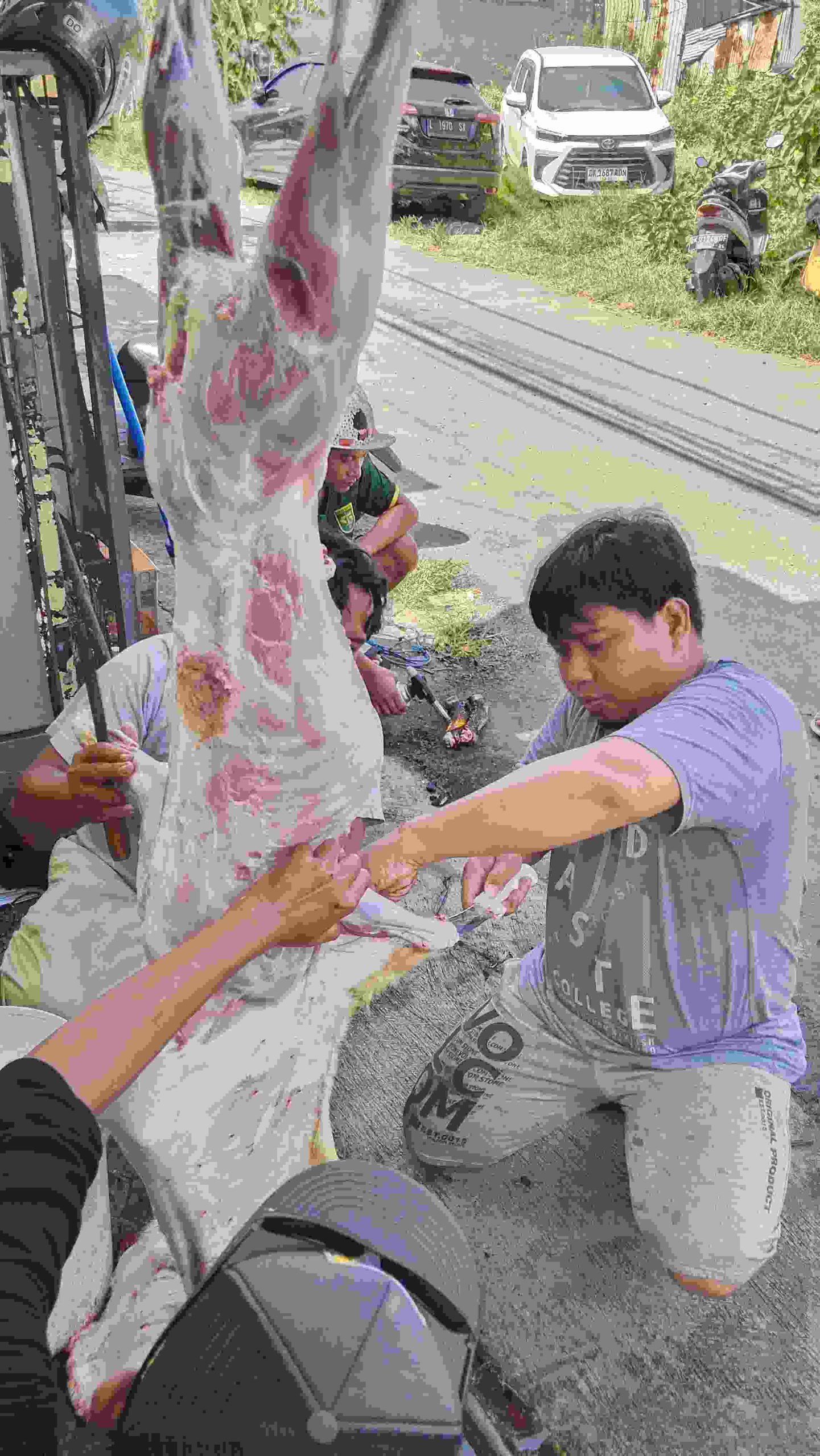 SURABAYA COMMUNITY BALI (SCB) Tebar Kebaikan Melalui Berbagi Daging Qurban Di Denpasar