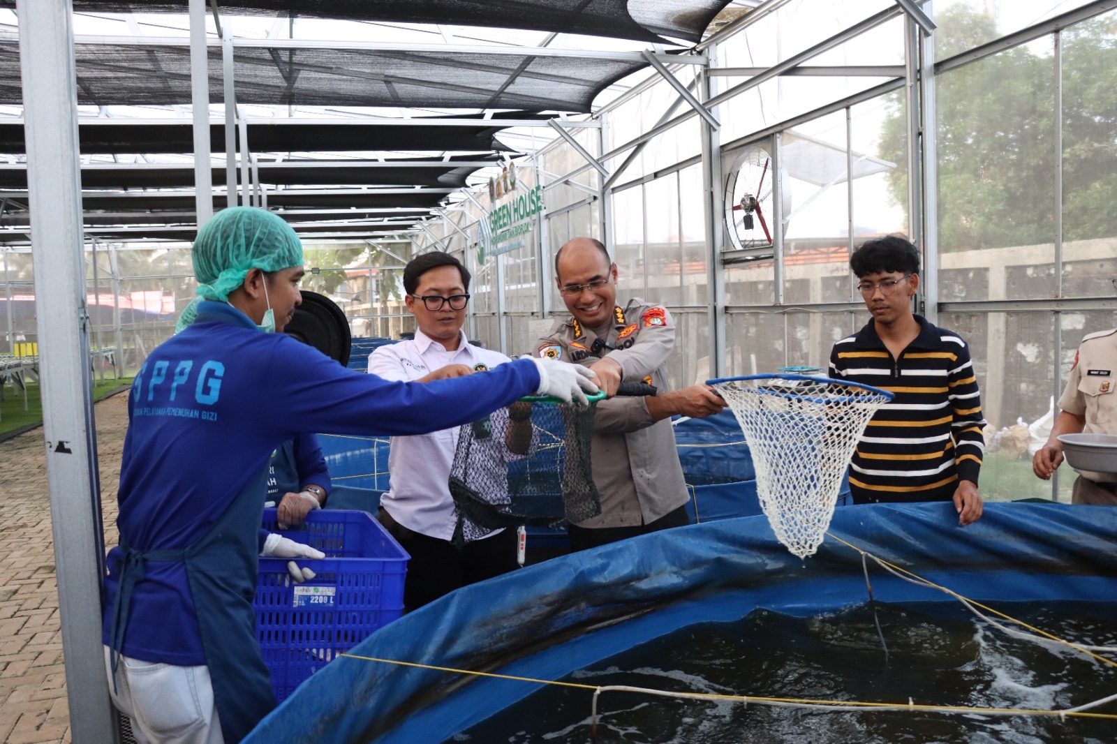 Panen Raya Sawi Hidroponik dan Ikan di Greenhouse SPPG Palmerah, Siapkan Pasokan Pangan Sehat dan Mandiri
