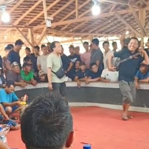 DPP Forwakum Tipikor Minta APH dan Pemkab Tertibkan Jenis Perjudian Sabung Ayam di Desa Perjuangan