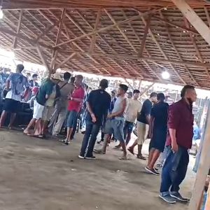 Arena Judi Sabung Ayam Merasa Kuat, Diduga Aparatur Penegak Hukum (APH) Terima Upeti Dari Pengelola
