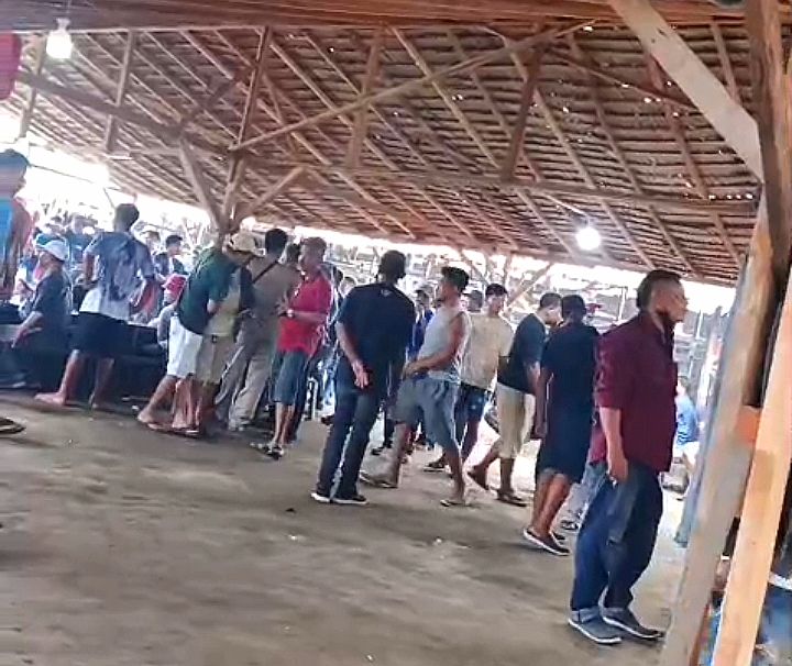 Arena Judi Sabung Ayam Merasa Kuat, Diduga Aparatur Penegak Hukum (APH) Terima Upeti Dari Pengelola