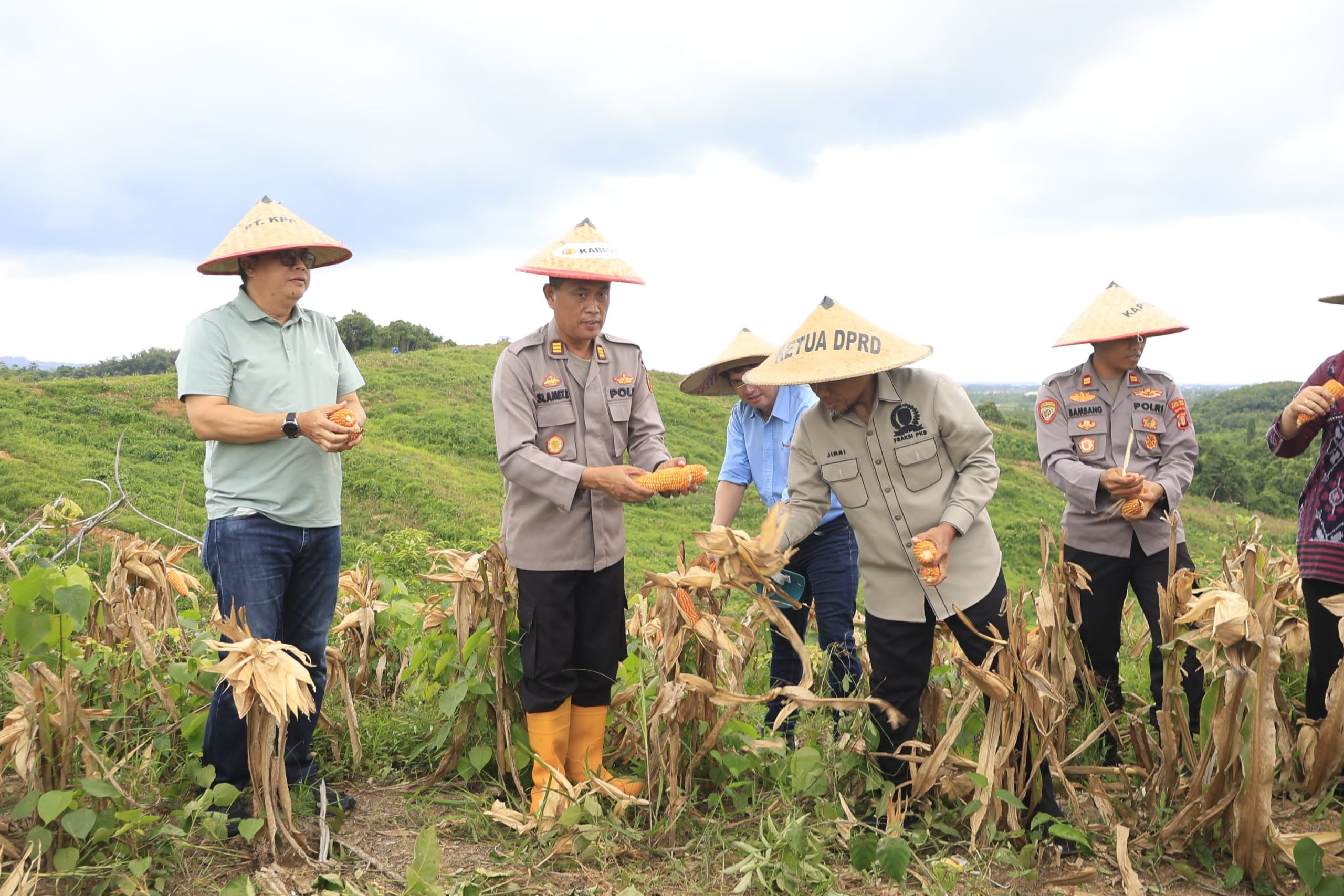 POLRES KUTIM DAN PT KPC SUKSES GELAR PANEN RAYA JAGUNG DI EKS LAHAN TAMBANG