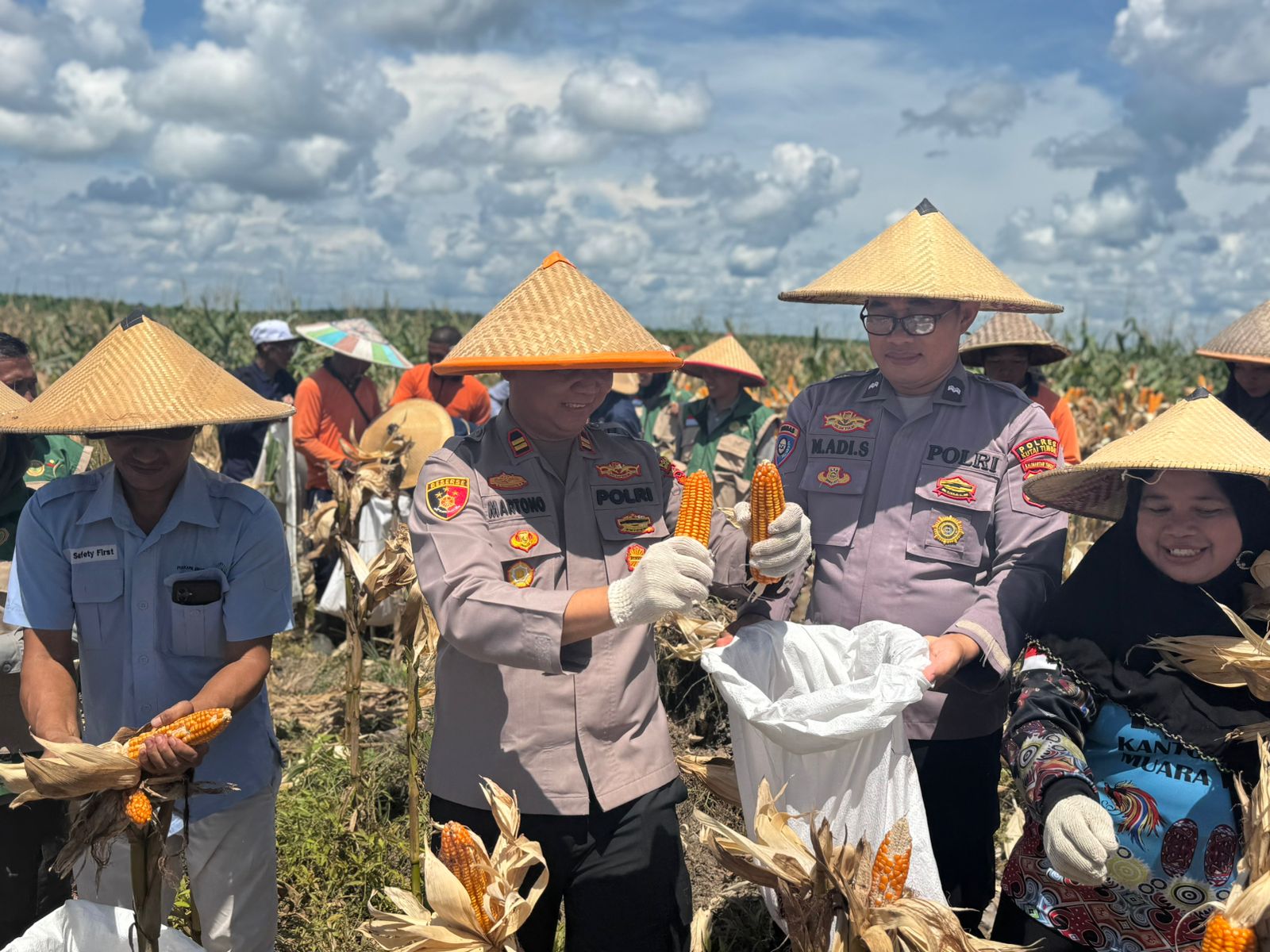 PANEN RAYA JAGUNG KUARYAL II, POLSEK MUARA WAHAU PERKUAT SWASEMBADA PANGAN