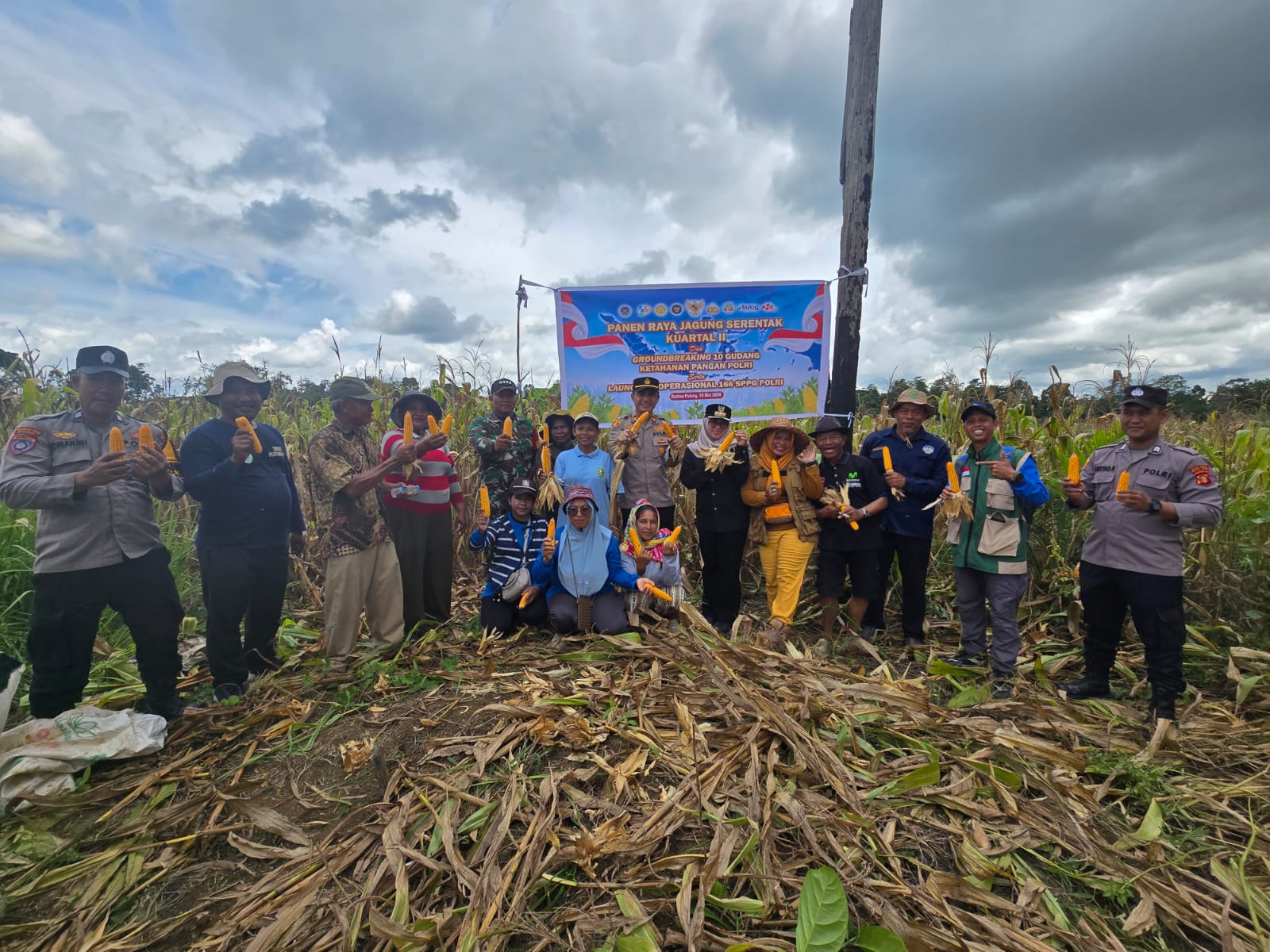 KOMPAK POLSEK DAN WARGA DUKUNG SWASEMBADA PANGAN NASIONAL, PANEN RAYA JAGUNG DI RANTAU PULUNG