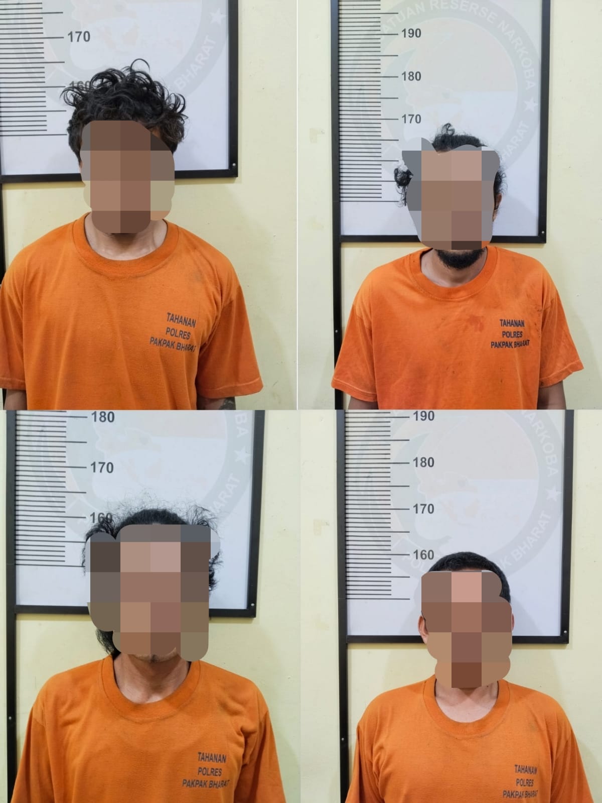 Luar Biasa…!!! Satres Narkoba Polres Pakpak Bharat Ringkus Pengedar, Bandar dan Pemakai Narkoba