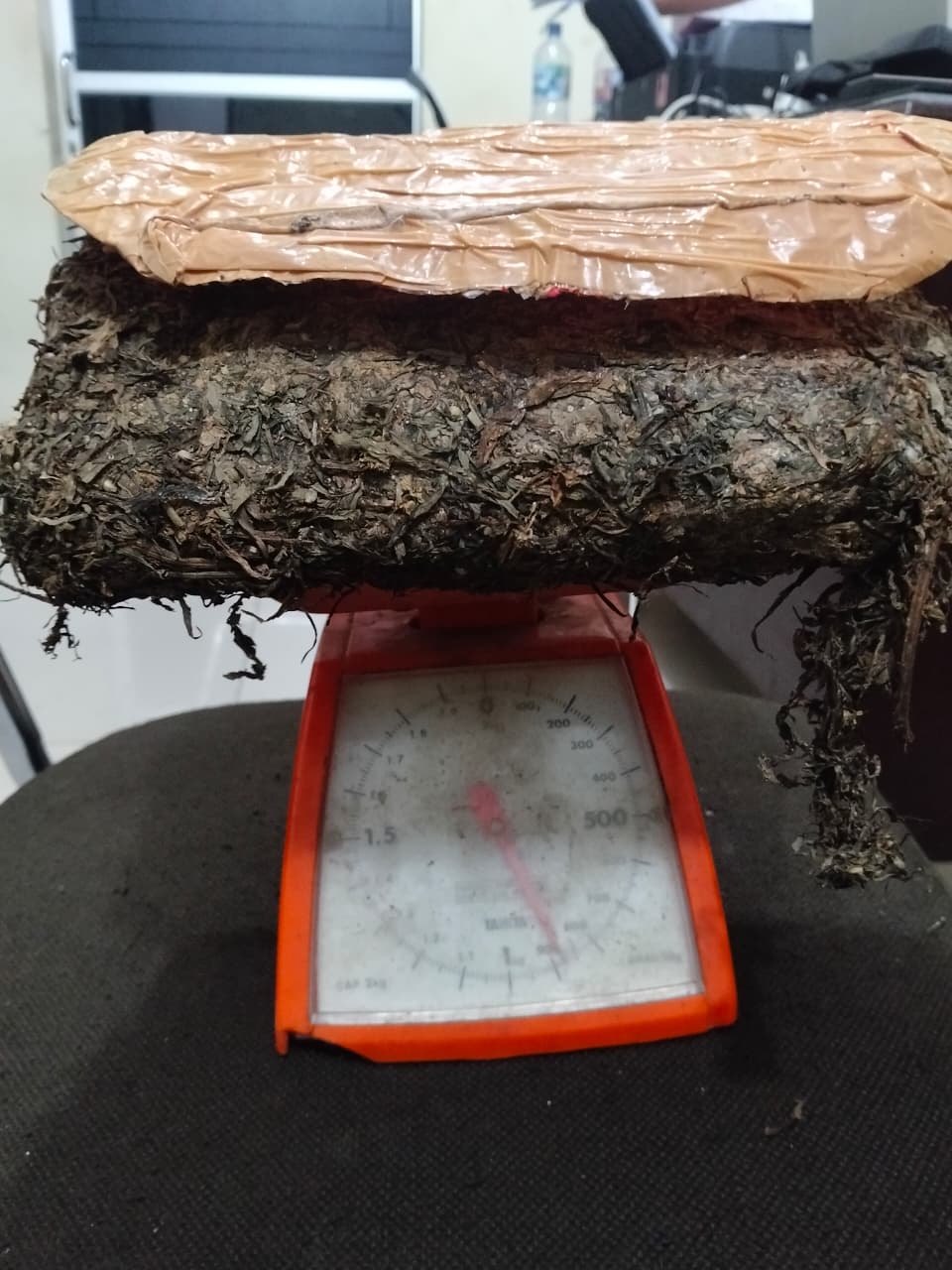 Pria 53 Tahun di Padangsidimpuan Ditangkap Saat Bawa 900 Gram Ganja di Jalinsum