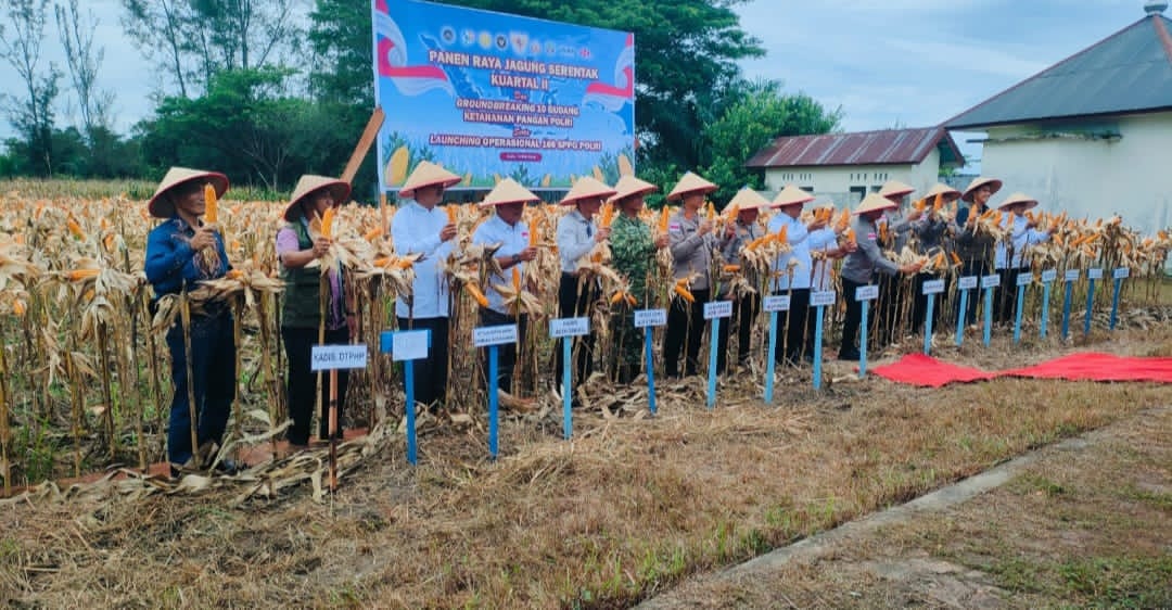 Kapolda Aceh Pimpin Panen Raya Jagung di Aceh Singkil, Tegaskan Komitmen Polri Dukung Swasembada Pangan Nasional