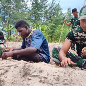 Manfaatkan Lahan Tidur, Satgas TMMD Ke-128 Kodim 1710/Mimika Tanam Jagung Bersama Warga