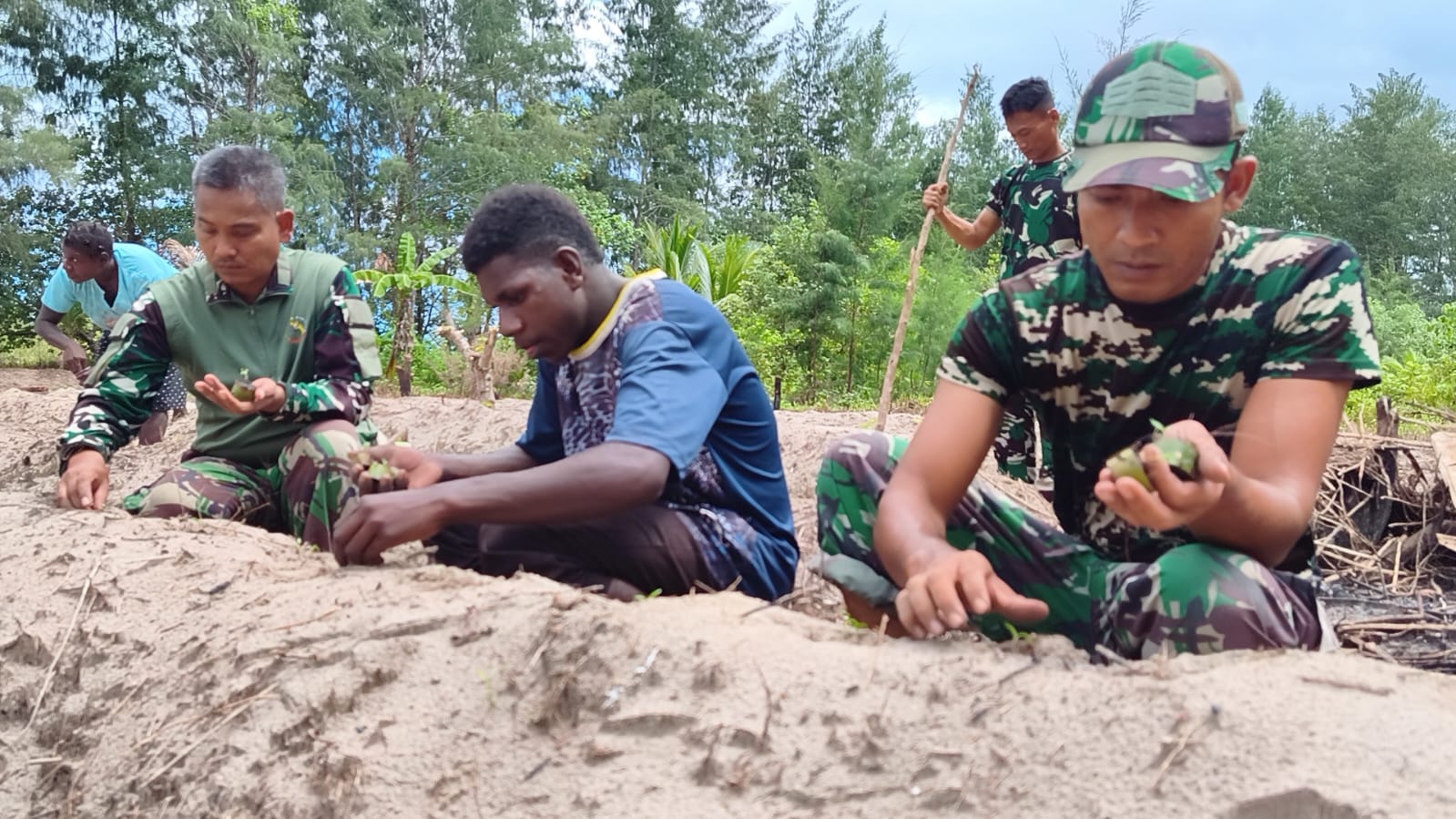 Manfaatkan Lahan Tidur, Satgas TMMD Ke-128 Kodim 1710/Mimika Tanam Jagung Bersama Warga