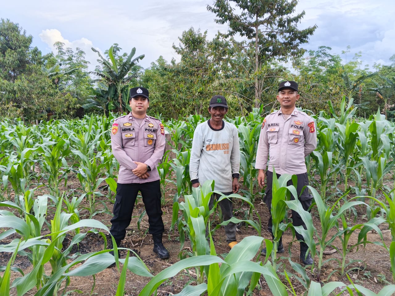 POLSEK MUARA ANCALONG CEK PERKEMBANGAN JAGUNG SADESAHE