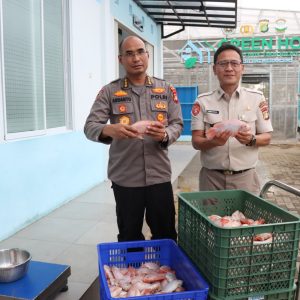 Polda Metro Jaya dan Polres Jakbar Panen 219 Kg Ikan Nila di Greenhouse Palmerah