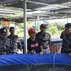 TNI AL Gelar Penanaman Bibit Kedelai di Kompi Produksi Lanal Banjarmasin Melalui Operasi Trisila 26, Perkuat Ketahanan Pangan
