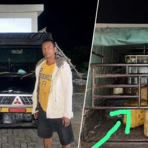 Diduga Tak Punya Nyali, Polres Tapanuli Selatan Dalam Penegakan Hukum Kepada SPBU di Paluta
