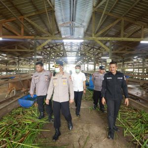Polres Kutim Cek Kesiapan Industrial Farming Kandang Sapi di Kabo Jaya untuk Pastikan Kesiapan Peternakan