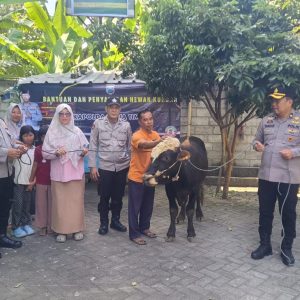 Kapolres Jombang Serahkan Sapi Kurban dari Kapolda Jatim untuk Dua Ponpes