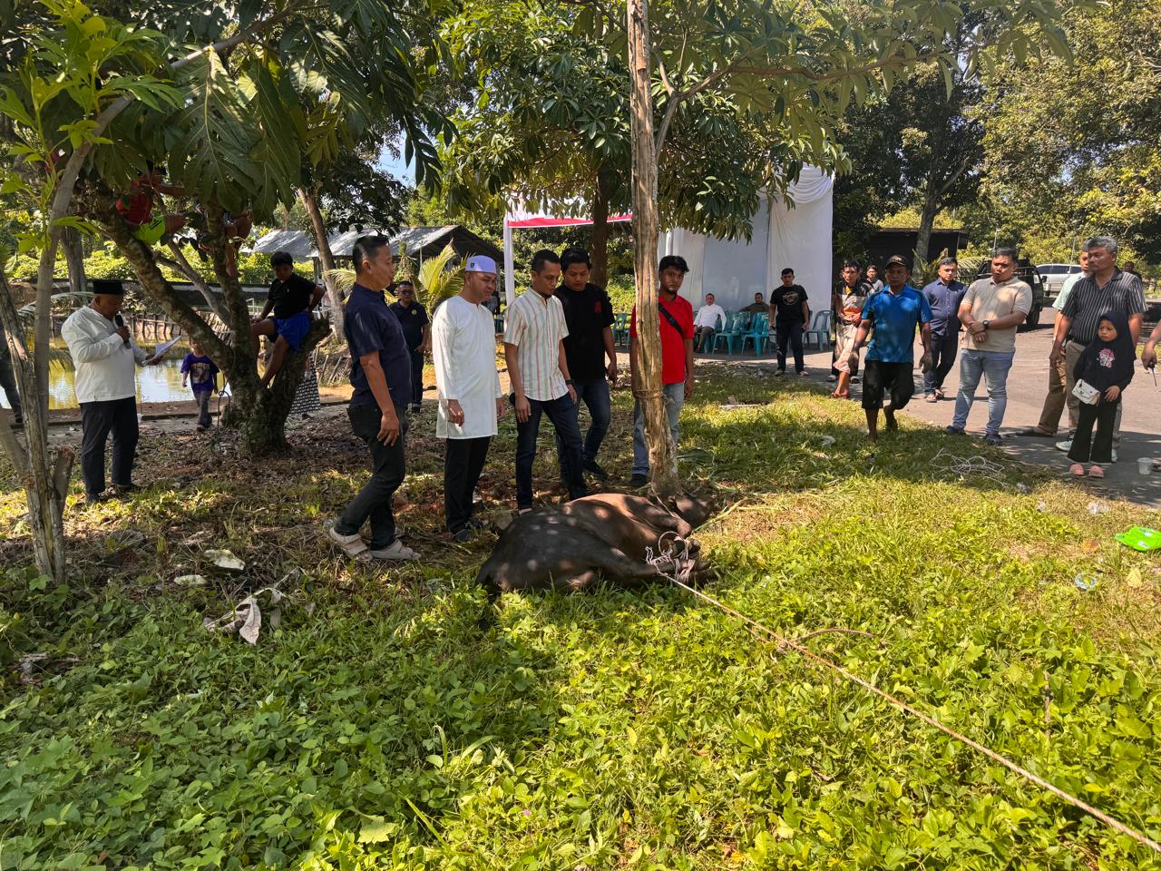 Hari Raya Idul Adha 1447 H, Polres Binjai Sembelih 7 Ekor Sapi dan 3 Ekor Kambing