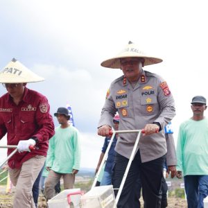 KAPOLDA KALTIM BERSAMA FORKOPIMDA KUTIM DAN MANAJEMEN PT KPC TANAM BENIH JAGUNG DI KAWASAN INDUSTRIAL FARMING Pit J