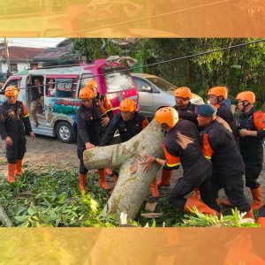 Pohon Tumbang Tutup Akses Jalan, Brimob Sumut Bergerak Cepat Bantu Warga Pematangsiantar