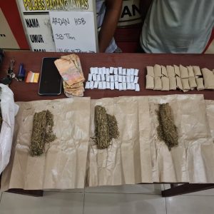 Satres Narkoba Polres Padang Lawas Tangkap Dua Terduga Pengedar Ganja, Ratusan Gram Barang Bukti Disita