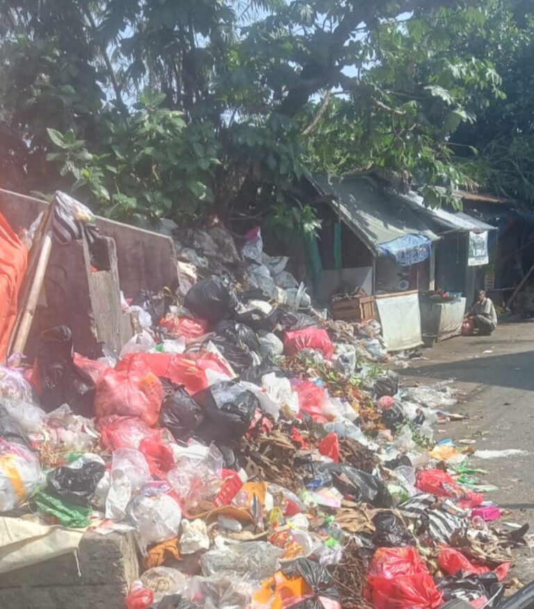 Kegiatan Foto : Darurat Sampah di RW 02 Empang: Tumpukan Menggunung dan Resahkan Warga Sekitar RS UMMI