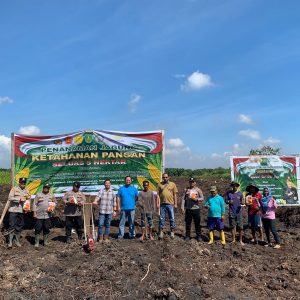 Program Jagung 5 Hektar Resmi Dimulai Di Bengalon, Polisi Turun Ke Ladang Bukan Hanya Jaga Kamtibmas Saja