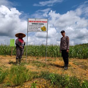 Polsek Muara Ancalong Pantau Langsung Program Ketahanan Pangan, Lahan 10 Hektar Tanam Jagung
