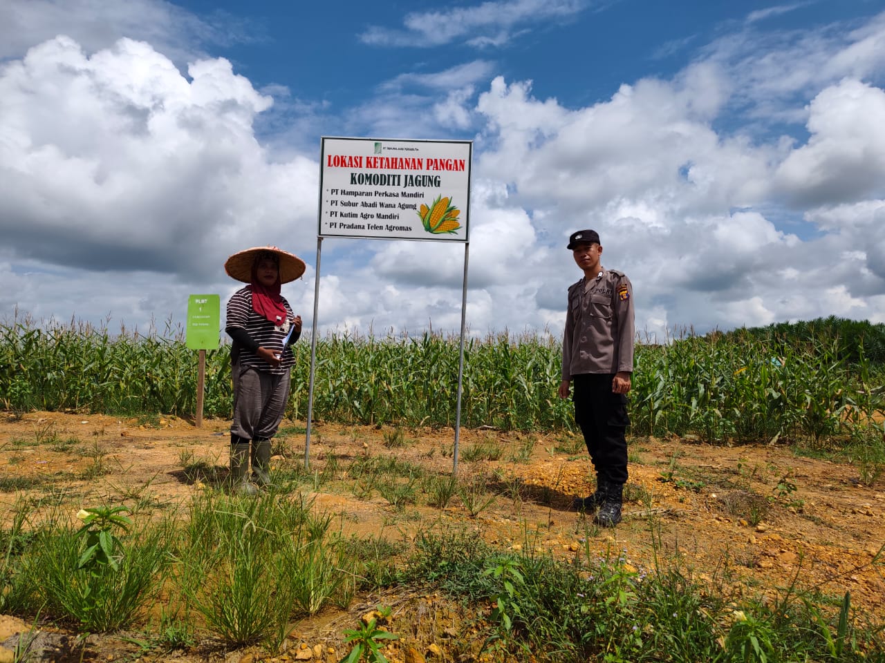 Polsek Muara Ancalong Pantau Langsung Program Ketahanan Pangan, Lahan 10 Hektar Tanam Jagung
