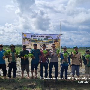 Polsek Kaliorang dan Petani Bersatu Tanam Padi Serentak 52.000 Hektar Wujudkan Ketahanan Pangan Nasional