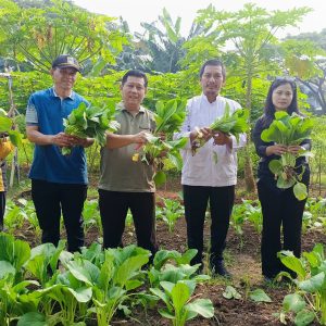 Panen Sawi, Terong, dan Kangkung di Duri Kosambi, Kebersamaan Warga dan Polisi Dukung Ketahanan Pangan