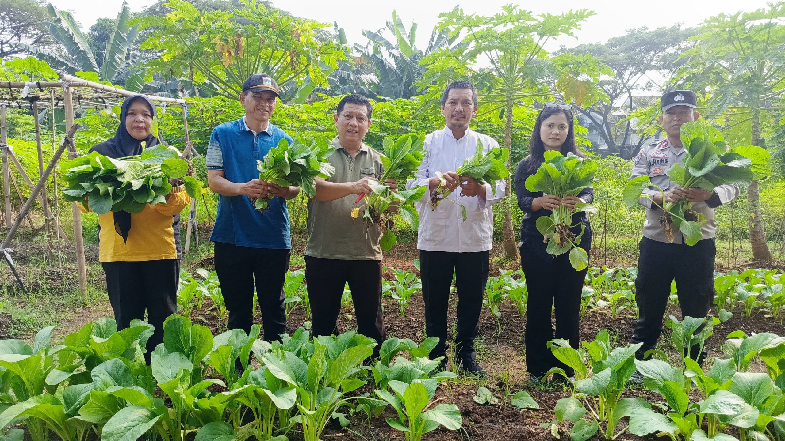 Panen Sawi, Terong, dan Kangkung di Duri Kosambi, Kebersamaan Warga dan Polisi Dukung Ketahanan Pangan