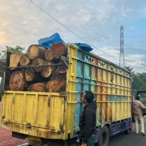 Satgas Intelstrat BAIS TNI Bersama Denintel Kodam I/BB Amankan Dua Truk Bermuatan Kayu Gelondongan Ilegal