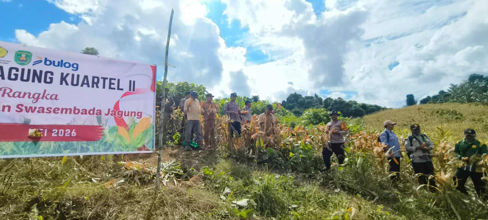 Polsek Kaliorang Kawal Panen Raya Jagung Serentak, Desa Cipta Graha Dukung Ketahanan Pangan Nasional
