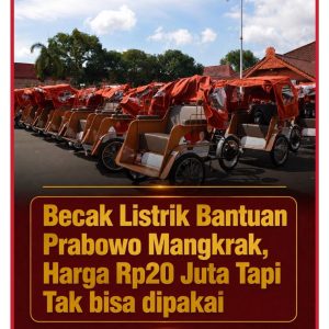 Becak Listrik Bantuan Prabowo Mangkrak, Harga Rp 20 Juta Tapi Tak Bisa Dipakai