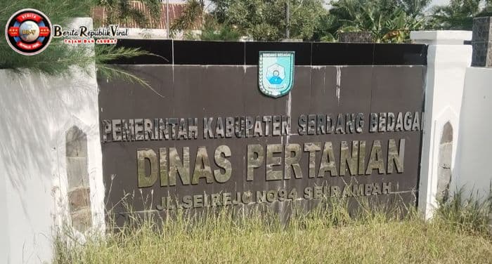 Petani Sergai Keluhkan Lambatnya Penyaluran Pupuk Subsidi, Dinas Pertanian Janji Optimalkan Ketersediaan